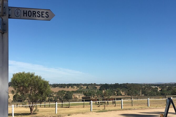 Half Day Living Legends tour with Devonshire Tea - Devonshire tea in a heritage homestead: the pause that makes it worth the price