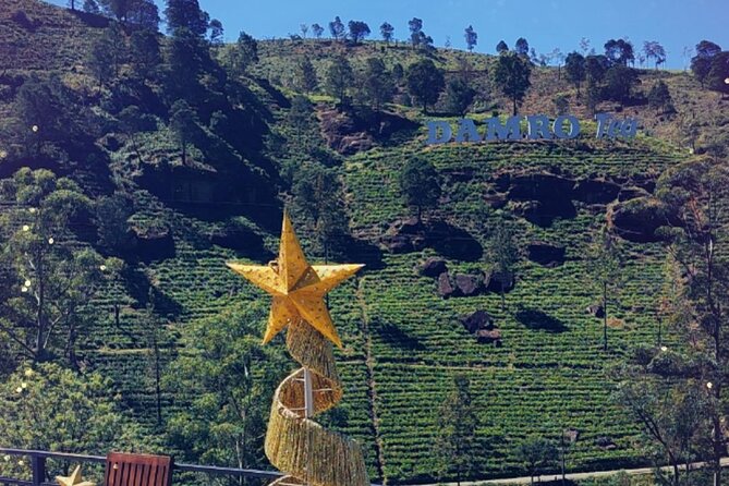 Half-Day Private Trip to Waterfalls and Tea Factory - A half-day mix of tea country and waterfalls you can actually reach