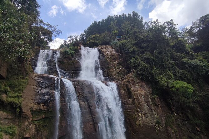 Half-Day Private Trip to Waterfalls and Tea Factory - Damro Labookellie Tea Centre: factory tour plus that first cup of tea