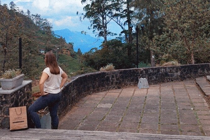 Half-Day Private Trip to Waterfalls and Tea Factory - Price and value for a private tea-and-waterfall half day