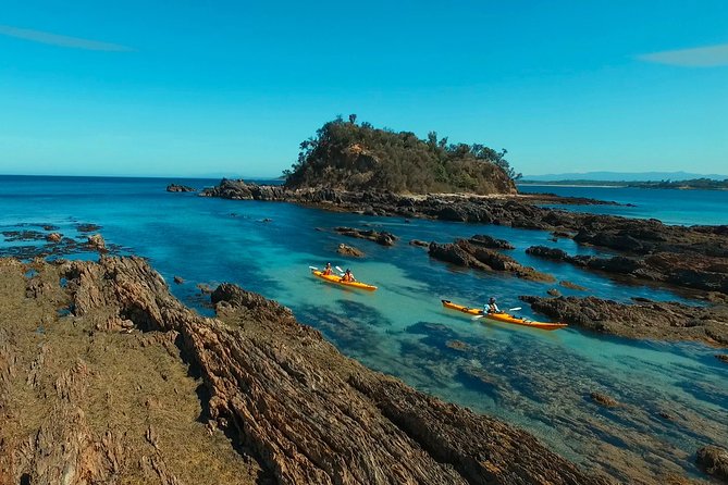 Half Day Sea Kayak Tour from Batemans Bay with Morning Tea - Key things to know before you go