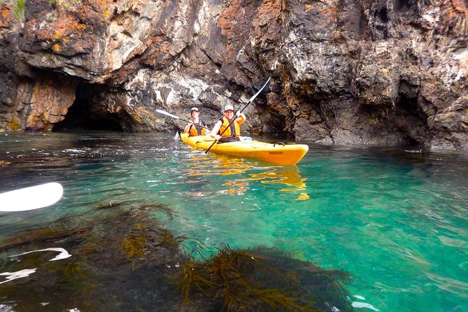Half Day Sea Kayak Tour from Batemans Bay with Morning Tea - Stop-by-Stop: What You’ll Do on the Remote Coast