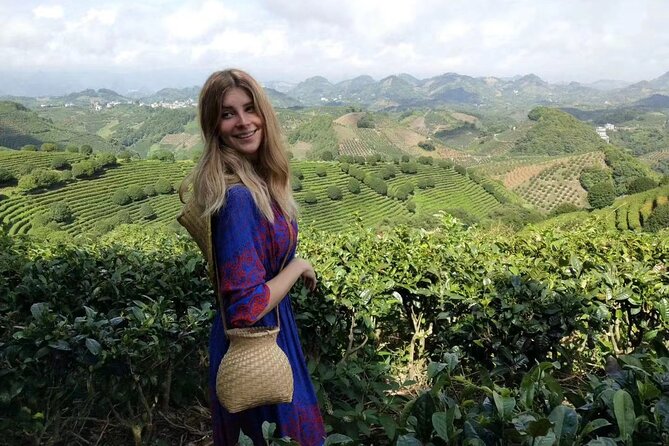 Half-day Tour: Largest Tea Plantation & Amazing Xianggong Hill - Key highlights worth planning around