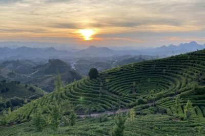 Half-day Tour: Largest Tea Plantation & Amazing Xianggong Hill - Xianggong Hill: why the views can feel bigger than expected