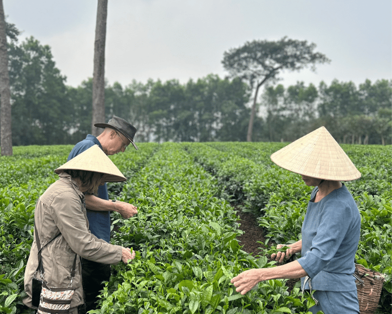 Hanoi Eco Tour: Ba Vi National Park Wonders & Tea Plantation - Key things I’d circle before you go