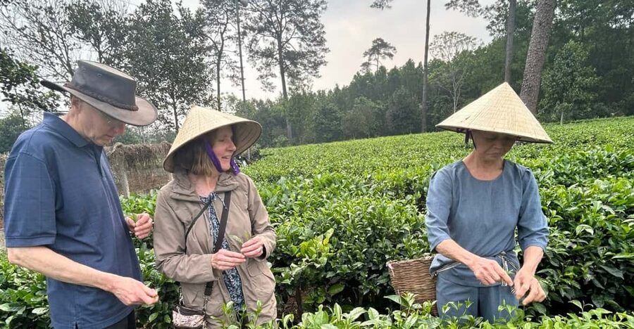 Hanoi Eco Tour: Ba Vi National Park Wonders & Tea Plantation - Price and Value: Is $80 Worth a Full 9 Hours?