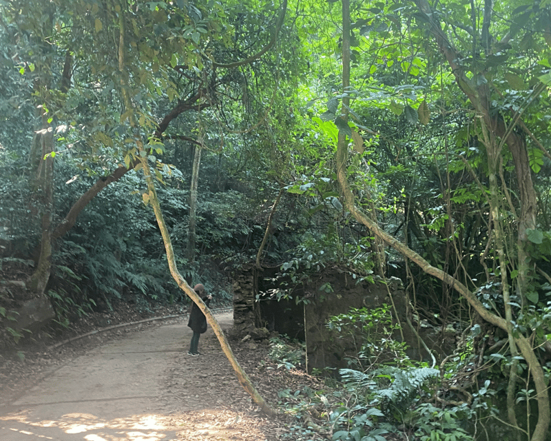 Hanoi Eco Tour: Ba Vi National Park Wonders & Tea Plantation - Getting From Hanoi to Ba Vi National Park Without Stress