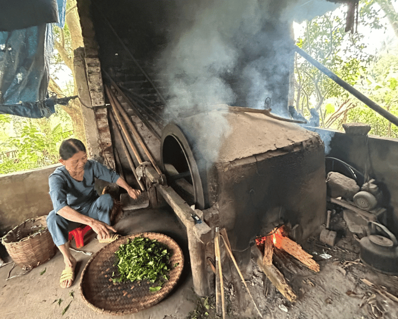 Hanoi Eco Tour: Ba Vi National Park Wonders & Tea Plantation - French Prison Ruins Reclaimed by Nature: History With a Pulse