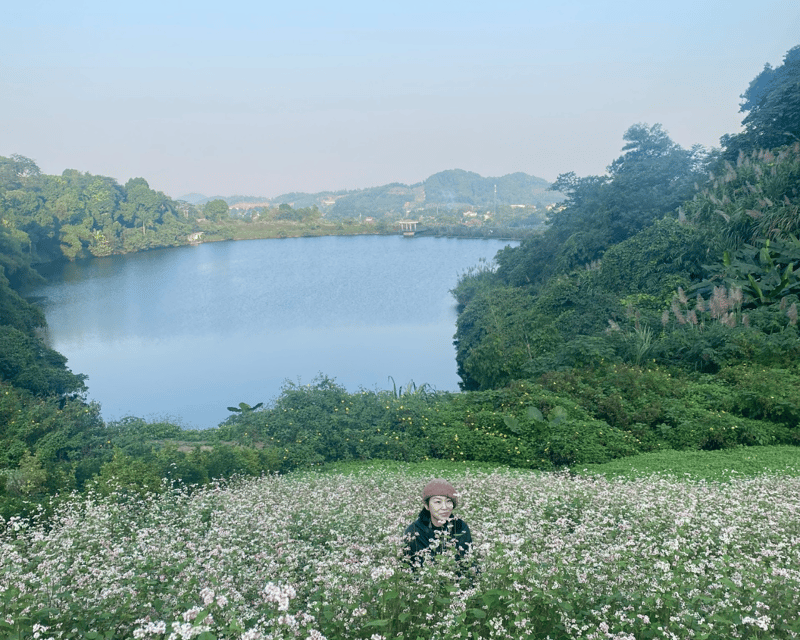 Hanoi Eco Tour: Ba Vi National Park Wonders & Tea Plantation - Lunch in the Park: What You’ll Actually Need to Budget