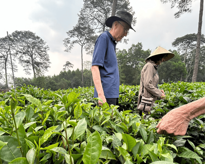 Hanoi Eco Tour: Ba Vi National Park Wonders & Tea Plantation - Đền Thượng Temple in the Clouds: Quiet Climb, Big Feeling