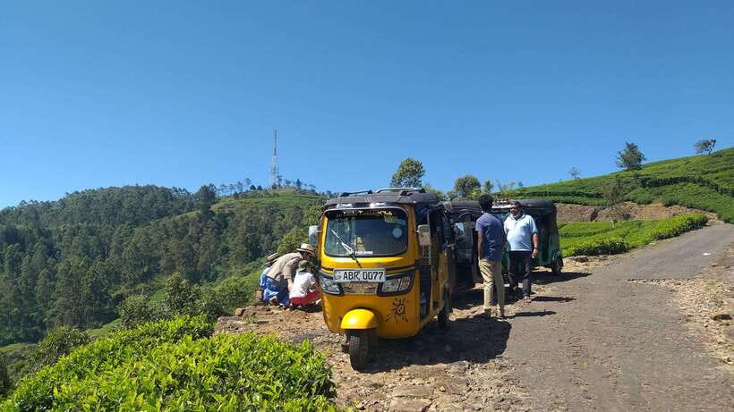 Haputale:Glorious Tuk Tuk Ride to Lipton'sSeat & Tea Factory - Timing and Pacing: How the Day Feels in Real Life
