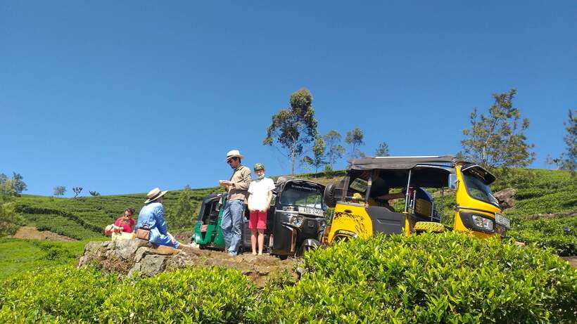 Haputale:Glorious Tuk Tuk Ride to Lipton'sSeat & Tea Factory - Small-Group Quality: Guides, Language, and the Personal Touch