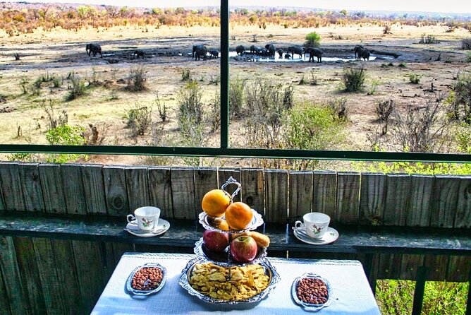 High Tea in the Savannah, Catering by Victoria Falls Hotel - Key highlights worth planning around
