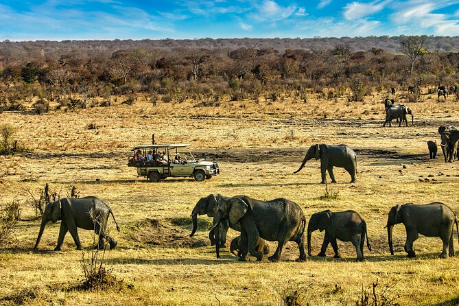 High Tea in the Savannah, Catering by Victoria Falls Hotel - Who this is best for