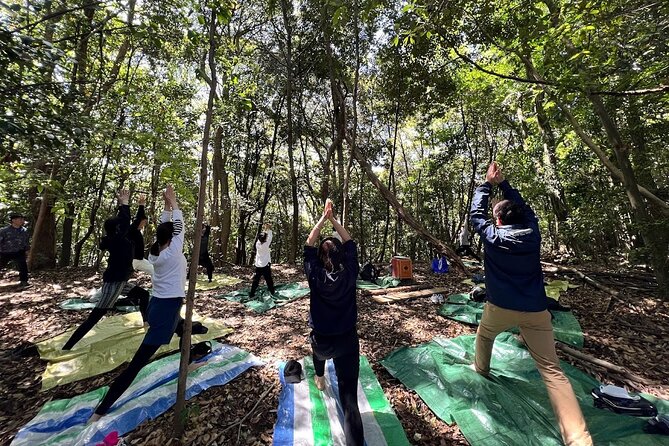 Hiroshima Local guided Hiking Tour&Open-air Tea Ceremony - Why the Mt. Futaba Hike Beats a Standard Sightseeing Loop