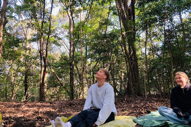 Hiroshima Local guided Hiking Tour&Open-air Tea Ceremony - Futabayama Peace Pagoda: The View That Makes the Climb Worth It