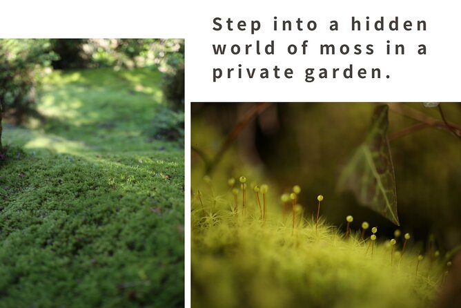 Home Experience: Tea Ceremony & Moss Garden Walk(Day trip) - A 200-year-old kominka house is the real starting point