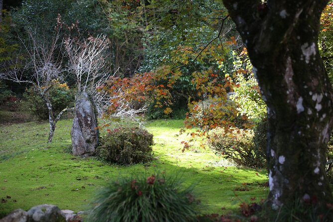 Home Experience: Tea Ceremony & Moss Garden Walk(Day trip) - Who this day trip is for (and who may want to skip it)