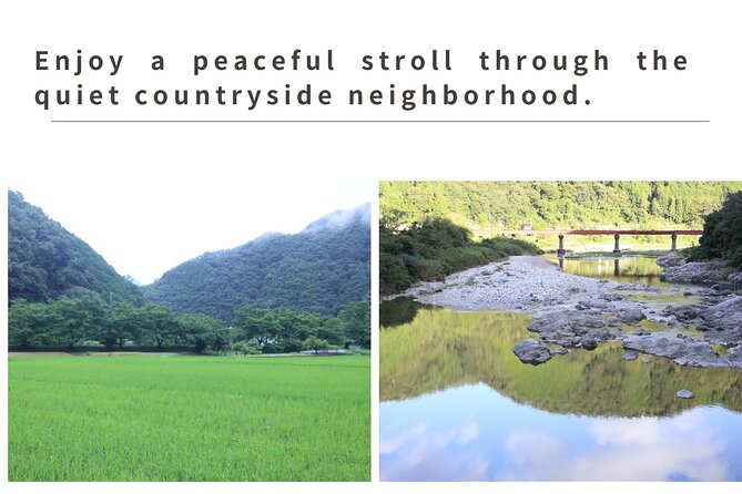 Home Experience: Tea Ceremony & Moss Garden Walk(Day trip) - Matcha tea ceremony with weather-smart timing