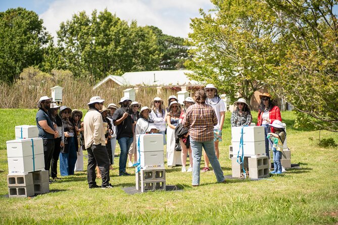 Honey Farm Tour. Morning Tea. Guided Tasting - Key highlights to look for