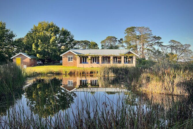 Honey Farm Tour. Morning Tea. Guided Tasting - The hive walk: veil-on viewing and the bees’ lifecycle story
