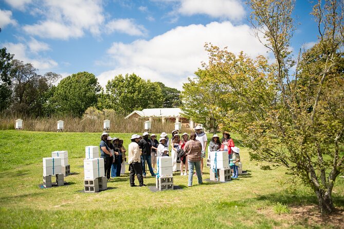Honey Farm Tour. Morning Tea. Guided Tasting - Flow Hive demo and modern hive basics (without the hard sell)