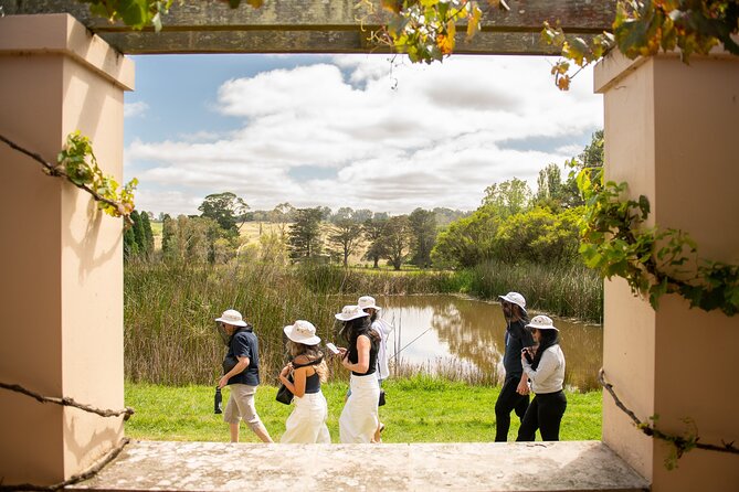 Honey Farm Tour. Morning Tea. Guided Tasting - The terrace change-up: guided honey tasting with 6 floral honeys