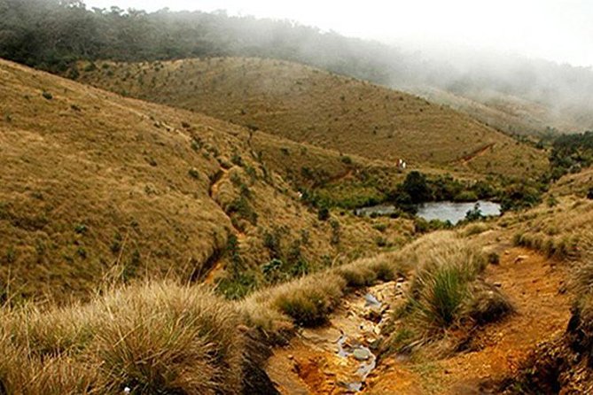 Horton Plains-World's End Tour and Tea Factory Tour From Nuwaraeliya - Key things to know before you go
