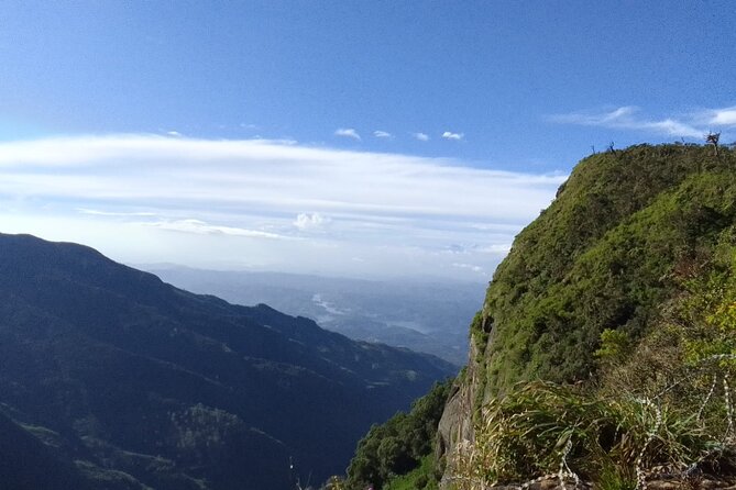 Horton Plains-World's End Tour and Tea Factory Tour From Nuwaraeliya - The Horton Plains trek: World’s End, Baker’s Falls, and a wildlife-focused route