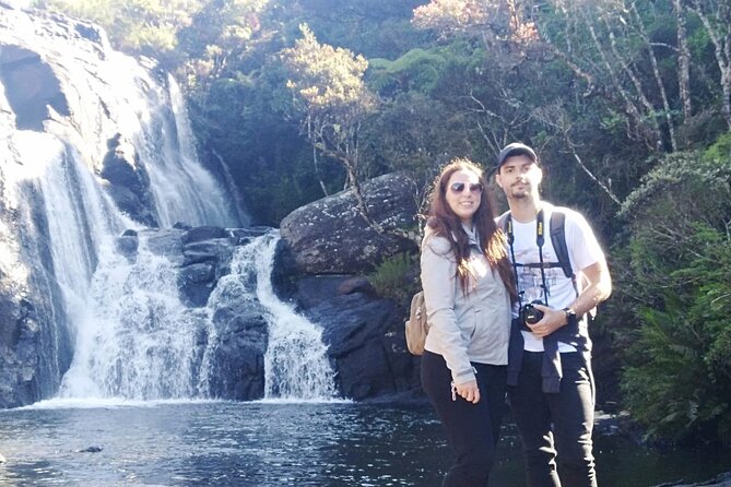 Horton Plains-World's End Tour and Tea Factory Tour From Nuwaraeliya - Price and value: what $50 covers (and what to budget for)