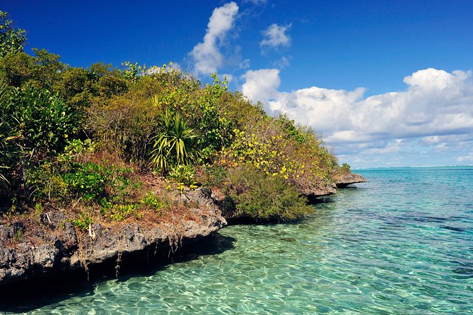 Ile aux Aigrettes - Tea Route - Gris Gris Private Guided Tour (Min. 2 persons) - Key Things You Should Know Before You Go