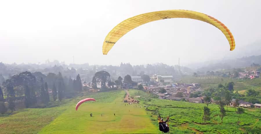 Jakarta: Paragliding on Top Mountain & Tea Plantation - Bogor first: setting the scene before you fly