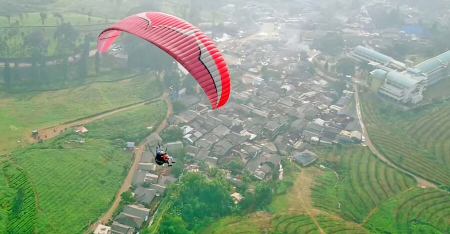 Jakarta: Paragliding on Top Mountain & Tea Plantation - Price and value: what $184 buys you for a full 10-hour day
