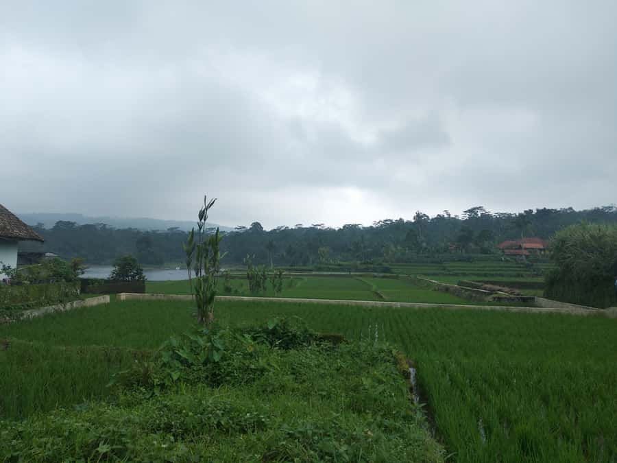 Jakarta :Volcano, HotSpring, Tea Factory, RiceField, &Coffee - Key highlights to plan for