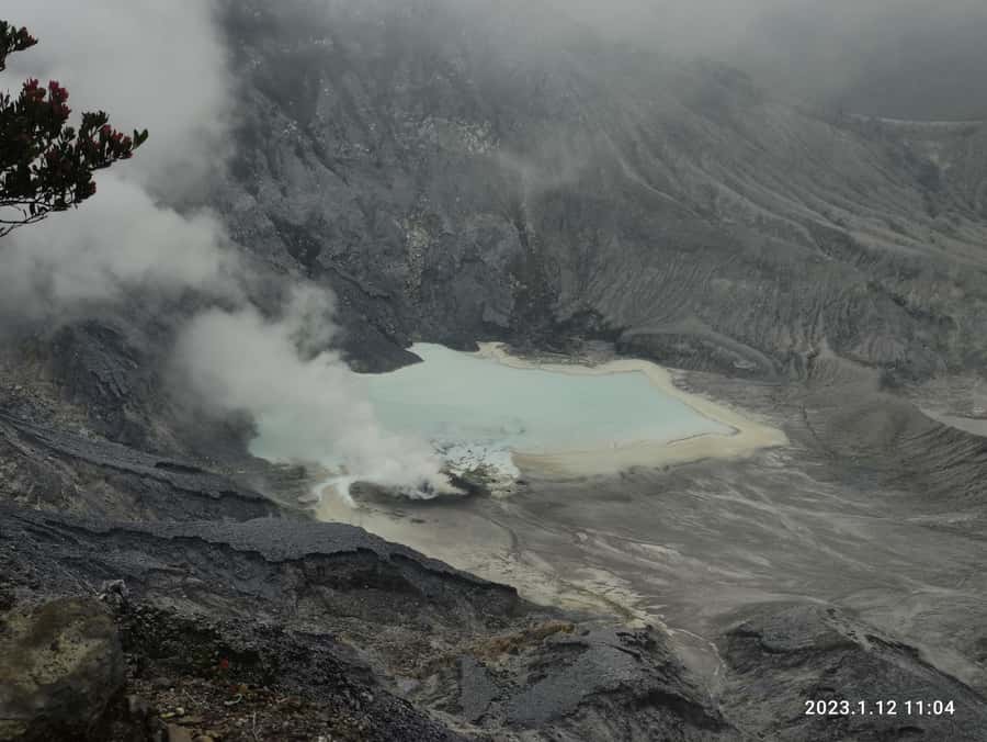 Jakarta :Volcano, HotSpring, Tea Factory, RiceField, &Coffee - Price and value: what $123 covers on a private day trip
