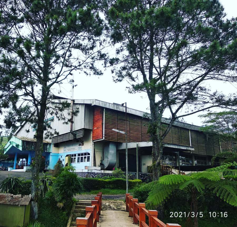 Jakarta :Volcano, HotSpring, Tea Factory, RiceField, &Coffee - A 12-hour Bandung and Subang sampler from Jakarta