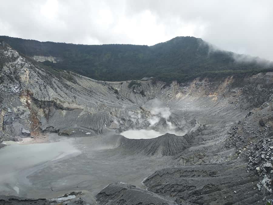 Jakarta :Volcano, HotSpring, Tea Factory, RiceField, &Coffee - Fruit paradise and Subang rice fields: agriculture you can see
