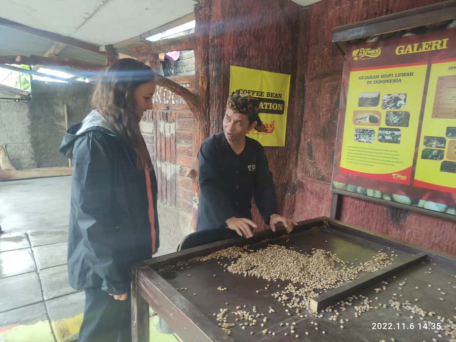 Jakarta :Volcano, HotSpring, Tea Factory, RiceField, &Coffee - Tangkuban Perahu volcano: crater walking, sulfur air, and optional trekking