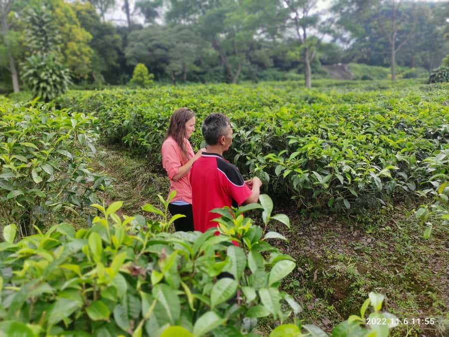 Jakarta :Volcano, HotSpring, Tea Factory, RiceField, &Coffee - Lembang lunch stop: where you regain energy