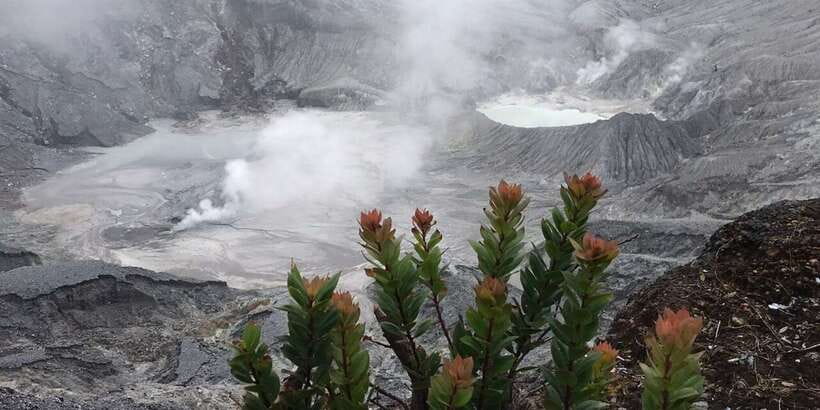 Jakarta: Volcano, Tea/Rice Fields, Hot Spring, Local Food - Tangkuban Parahu volcano: sulfur scent, bubbling mud, and the sound of the mountain