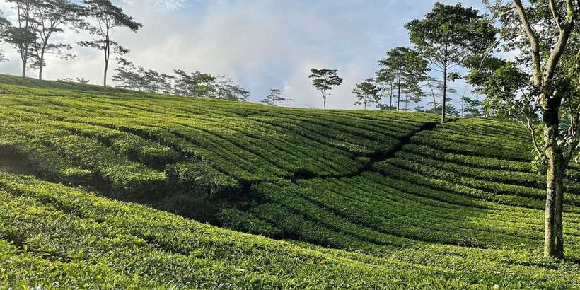 Jakarta: Volcano, Tea/Rice Fields, Hot Spring, Local Food - Sari Ater hot springs at Ciater: sulfur soak, relaxing foot massage, and one key reality check