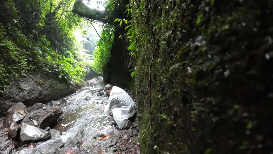 Jakarta: Waterfalls, Volcano, White Crater, Tea, Hot Spring - Should you book KHALIF Tour’s Jakarta-to-Bogor waterfalls and volcano day?