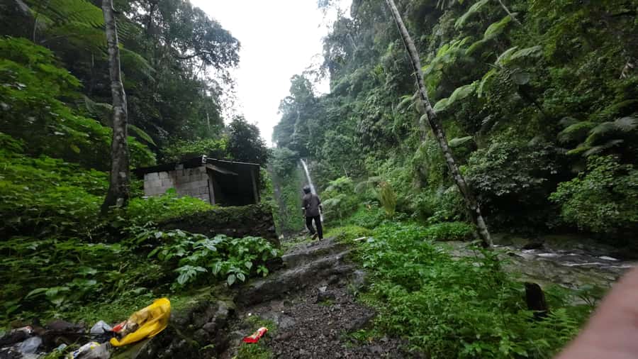 Jakarta: Waterfalls, Volcano, White Crater, Tea, Hot Spring - Lunch in Bogor plus sightseeing: what to do when the plan feels flexible