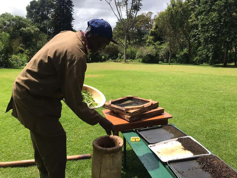 Kaimbethu tea farm tour and lunch package - Key Highlights You’ll Notice Right Away