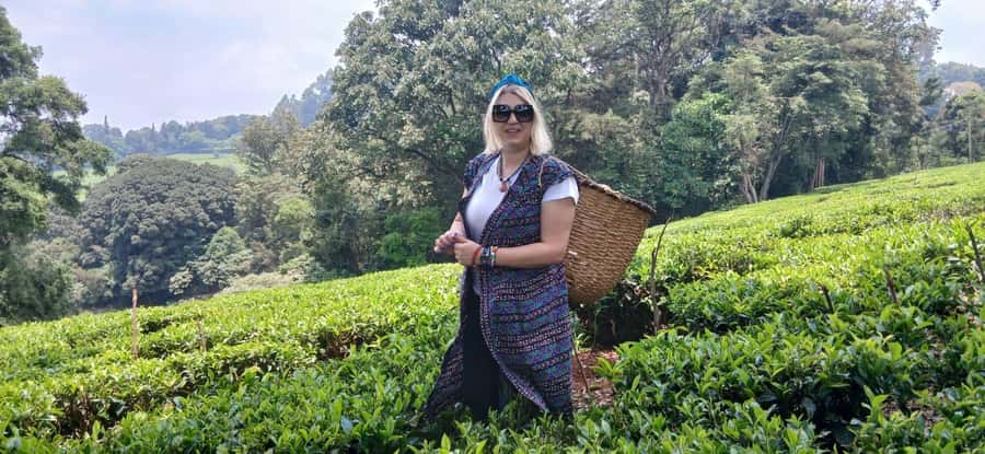 Kaimbethu tea farm tour and lunch package - The Farm Walk: Tea Fields, Indigenous Forest, and Comfortable Pacing