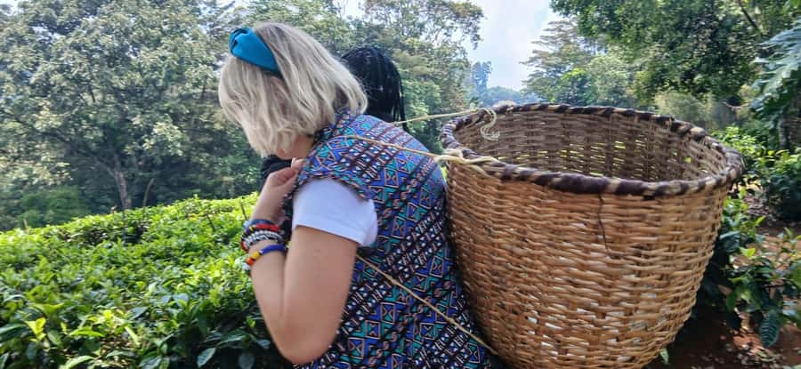 Kaimbethu tea farm tour and lunch package - Tea-Making 101: From Leaf to Cup