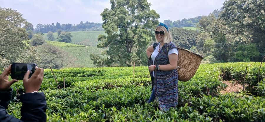 Kaimbethu tea farm tour and lunch package - Lunch at Kiambethu: Fresh Food Included, With Options