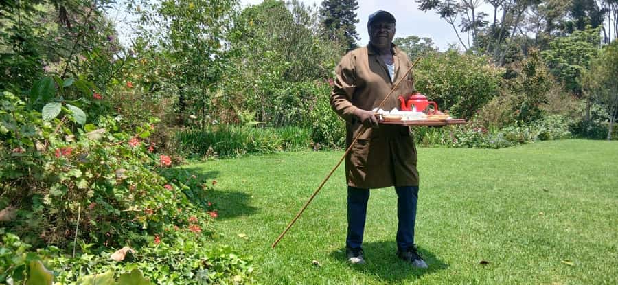 Kaimbethu tea farm tour and lunch package - Price and Logistics: Is It Worth About $50?