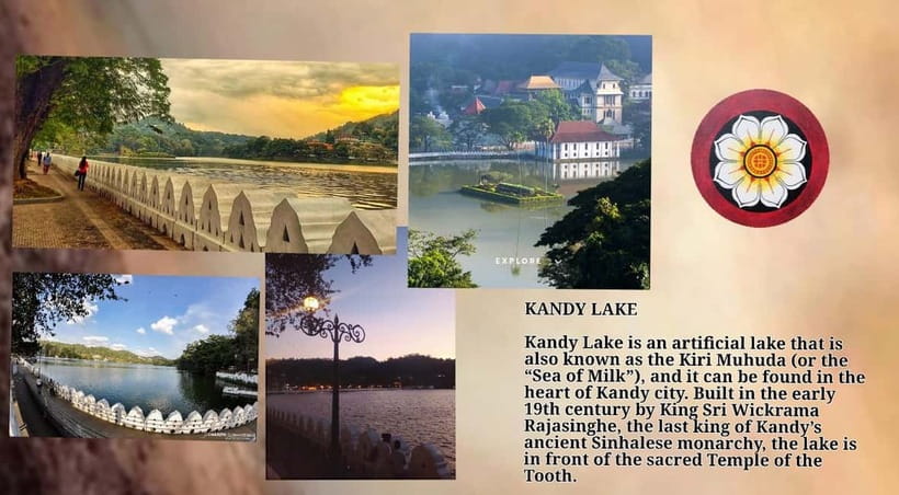 Kandy: City Tour with Temple of the Tooth & Tea Garden - Key things that make this Kandy tour work