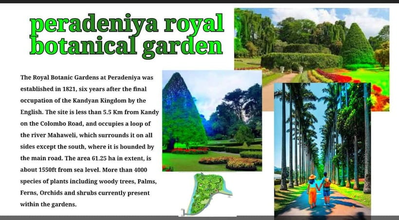 Kandy: City Tour with Temple of the Tooth & Tea Garden - Royal Palace and the architecture mash-up (Royal, Portuguese, English)